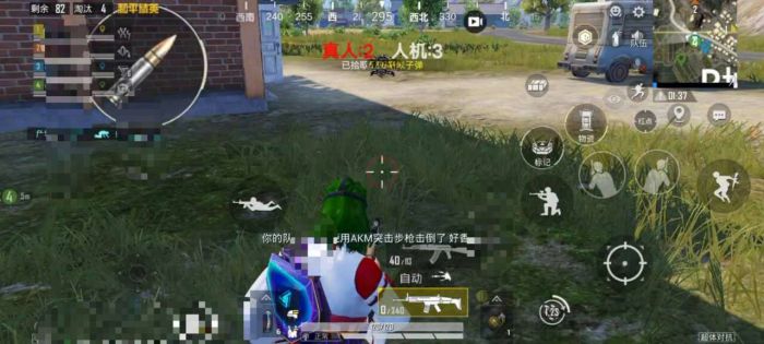 和平精英没有辅助怎么进（和平精英所有辅助怎么设置）